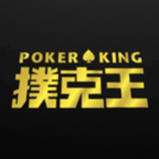 PokerKing Asia Hand Converter for PokerTracker 4