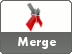 Merge Network Icon