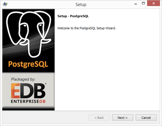 PostgreSQL Setup Wizard